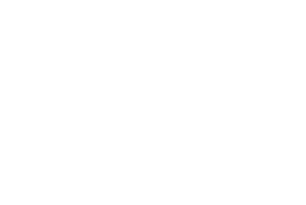 Red Network LTD.